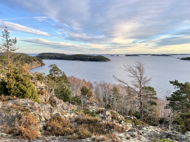 Panoramablick von einem Hügel aus über einen See, mit Bäumen, Pflanzen und Felsen im Vordergrund und einem bewölkten Himmel im Hintergrund.