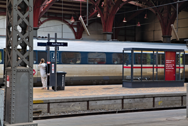 Ein Zug fährt auf einem Bahnsteig ein mit einer Person in der Nähe, einem Müllbehälter, Pfosten, Informationsschildern und Deckenleuchten.