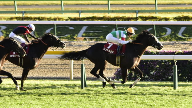 Zwei Jockeys in Helmen lenken Pferde auf einer von Grün umgebenen Bahn, mit einer Absperrung und einem Textbrett im Hintergrund.