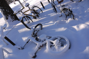 Eine Reihe von Fahrrädern, teilweise mit Schnee bedeckt, neben einem Baumstamm und einer Straße geparkt.