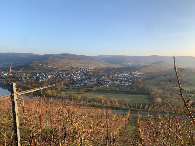 Picturesque view of the Rhine Valley from a hilltop, featuring lush greenery, houses, a river with a bridge, and rolling hills under a blue sky.