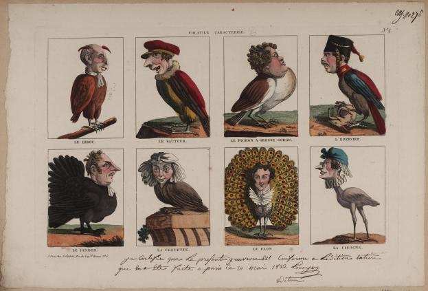 Ein Buchumschlag mit verschiedenen Vögeln in unterschiedlichen Größen und Farben sowie Menschen in verschiedenen Kostümen und Text.