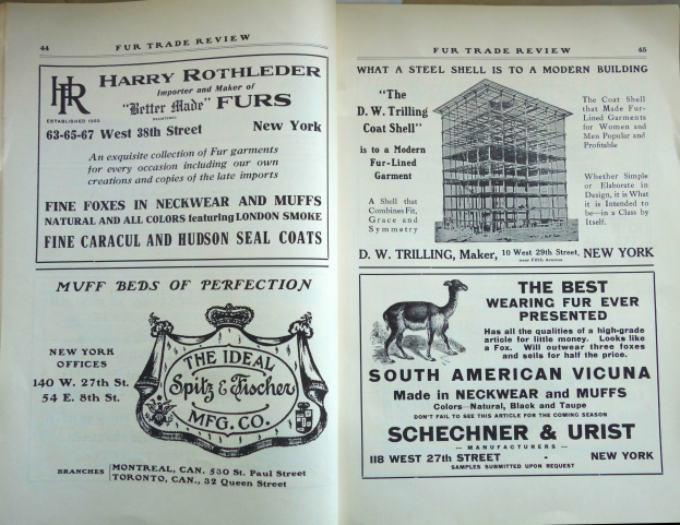 Offenes Buch mit einem Tierbild auf dem Cover, das auf einer Oberfläche liegt und Text und Bilder enthält, die wahrscheinlich mit dem Pelzhandel in Verbindung stehen.