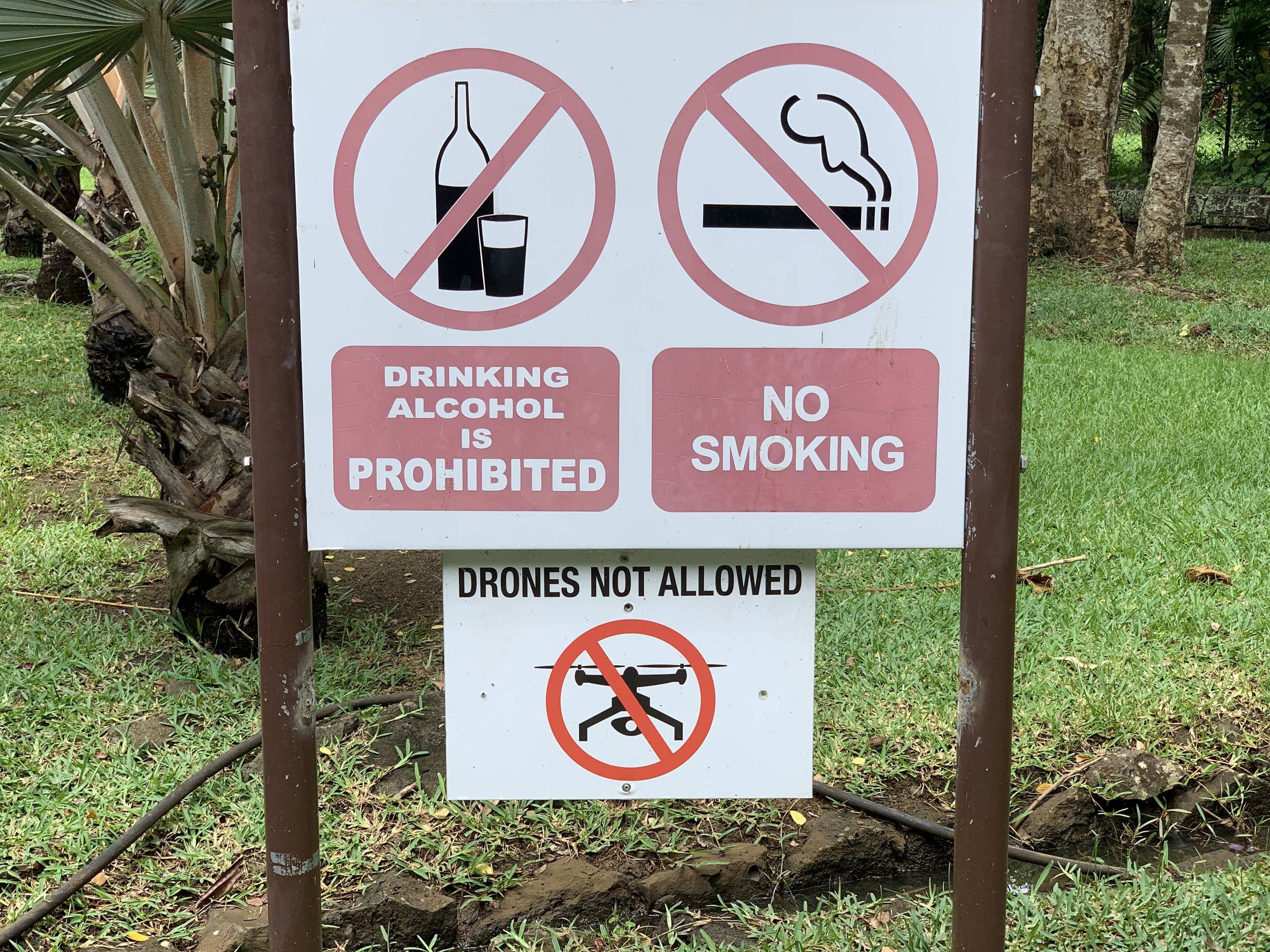 Straßenschild, das das Trinken von Alkohol und Rauchen verbietet, mit Bäumen und Gras im Hintergrund.