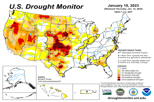 Blog  25 Jun, 2026
                
              
               As climate risks intensify, smallholder farmers call for direct access to finance