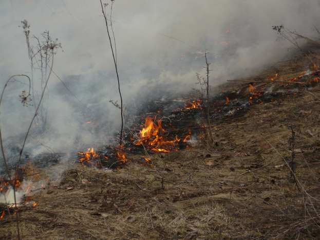 Verschreibung Feuer in einem Grasfeld, mit Rauch, der in den Himmel aufsteigt.
