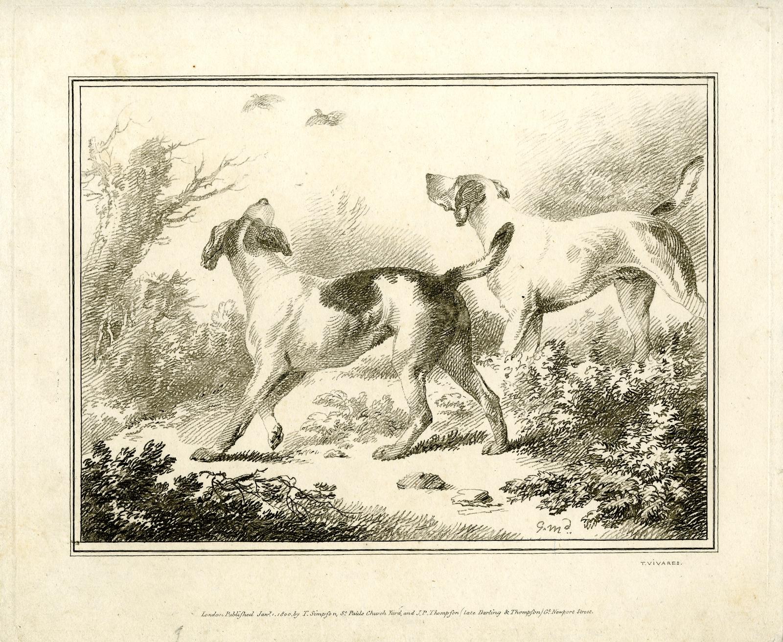 Zwei Hunde laufen durch einen bewaldeten Bereich mit Grünfläche, mit Text unten im Bild.